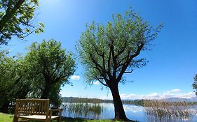 Appartamento Miralago Con Giardino Sul Lago