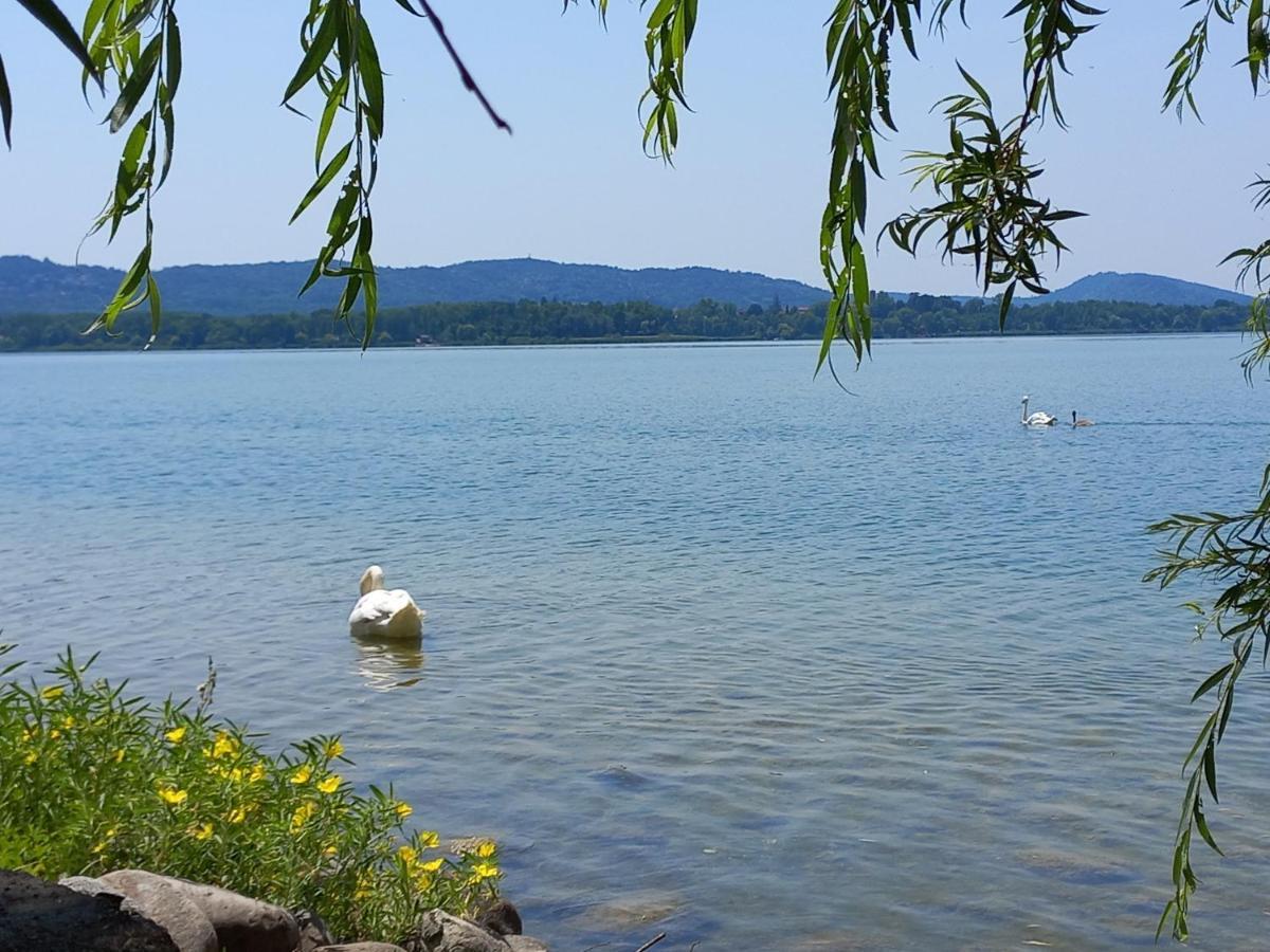 Appartamento Miralago Con Giardino Sul Lago Gavirate Esterno foto