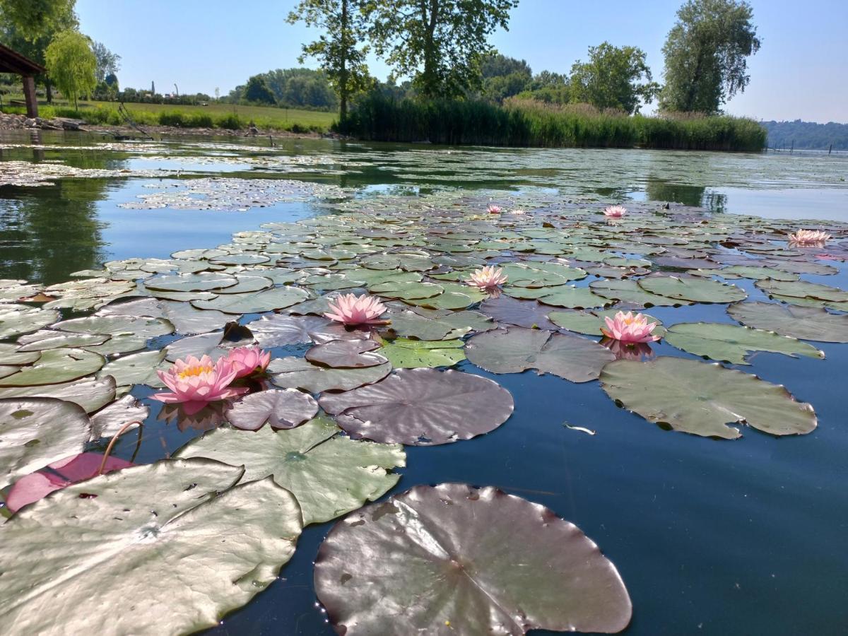 Appartamento Miralago Con Giardino Sul Lago Gavirate Esterno foto