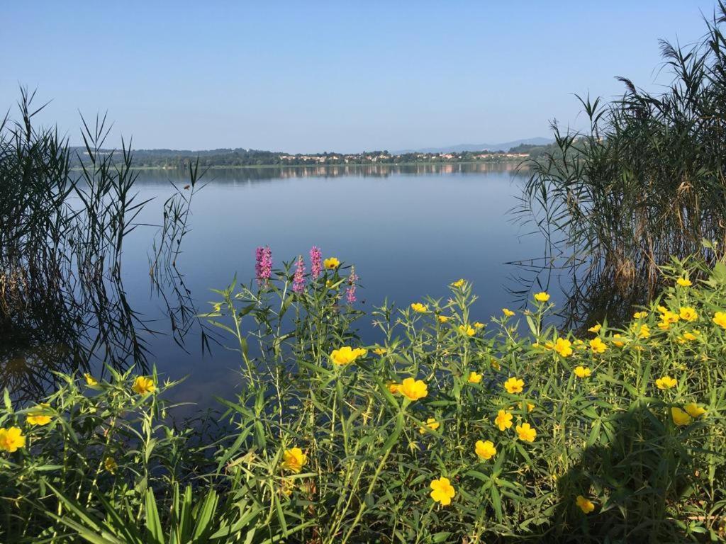 Appartamento Miralago Con Giardino Sul Lago Gavirate Esterno foto