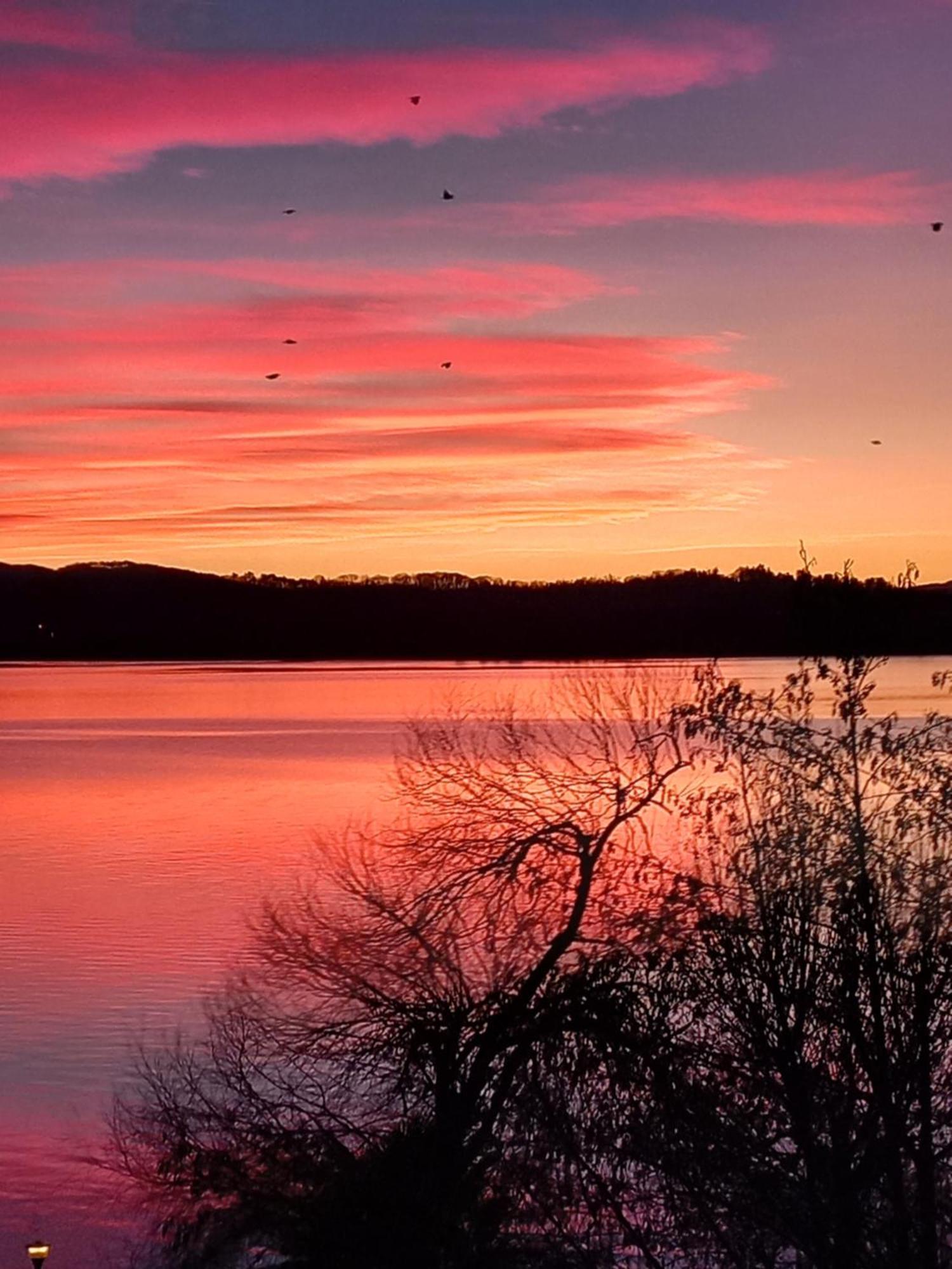 Appartamento Miralago Con Giardino Sul Lago Gavirate Esterno foto
