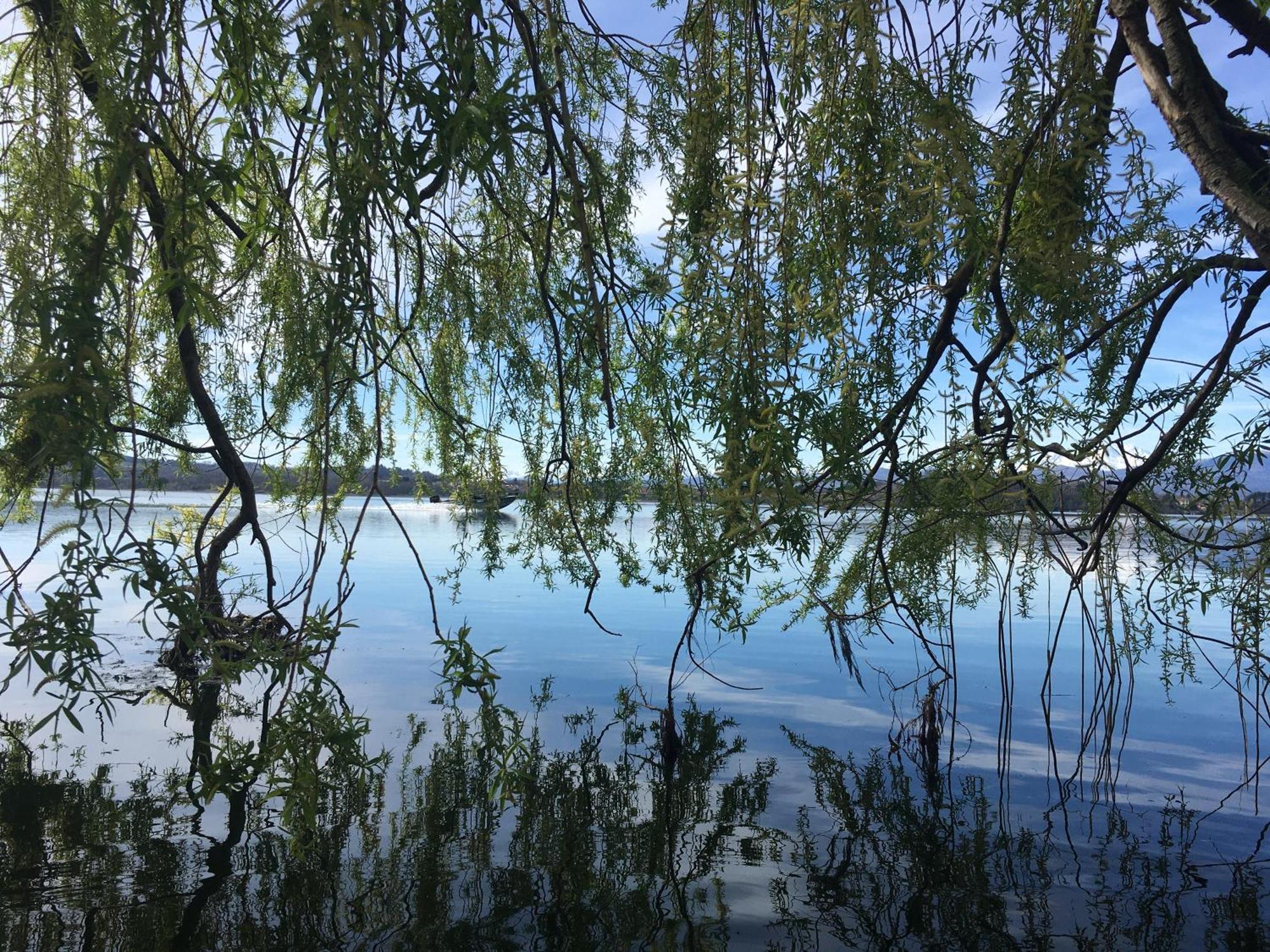 Appartamento Miralago Con Giardino Sul Lago Gavirate Esterno foto